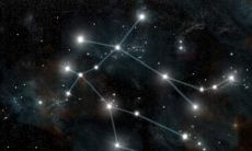 对于摩羯座来说,是否具有杠精属性?(剖析摩羯座的杠精特质)