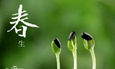 为什么在求签时需要进行第三签,探究随意功德的上上签意义?