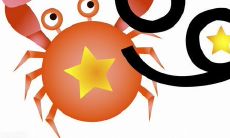 处女座女的真实情感:探讨她的真爱星座是哪一个?