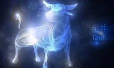 详解金牛座的情感特征及其对待感情的表现方式