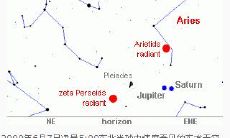 属狗女申时出生的人:她们的命运将如何塑造?