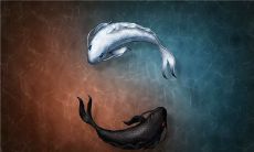 周易大师预测2023年运势涵盖职场、财运、感情与健康等领域