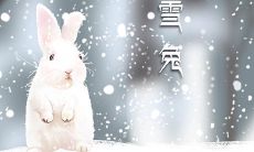 探究不同属相和属兔搭配的优劣性:属兔和哪些属相配对最为完美?