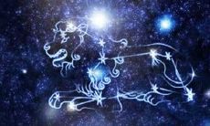 根据星座学说,哪些星座与狮子座最相配?狮子座和天秤座搭配有哪些星座更加和谐?