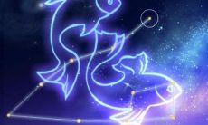 据说在三月份出生的双鱼座拥有最高的智商,这是否属实?