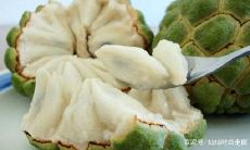 对于凸额头面相男,大同是否为释迦所取的命名好选择?