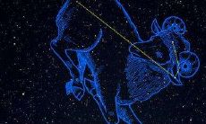 探寻狮子座的守护花,揭秘狮子座最钟爱的幸运花是什么?