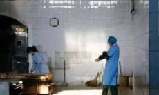 如何通过观察下葬仪式中的属相以判断是否与火葬场犯冲