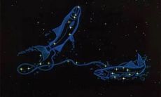 2023年双鱼座的正缘是否落在十月份?探讨双鱼座明年的全年运势与爱情运势!