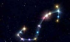 哪个星座最倾心于天蝎座?天蝎座的最爱是什么?