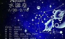 水瓶座最适合与哪些星座交往?探究水瓶座最难割舍的伴侣星座!