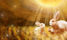 如何评价1999年属兔女孩在感情婚姻方面的旺夫指数?