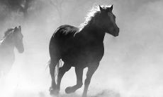 1990年出生的和1994年出生的是否适合结婚:探讨90年代和94年代的婚姻匹配程度