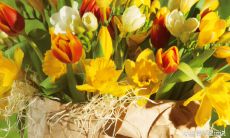 2022年水瓶座的全面趋势预测(水瓶座本周的星座运势分析)