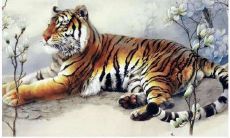 1981年的鸡年人如何应对遇上鼠年的命运转变?探究鸡人在虎年的运势究竟如何!