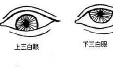 如何通过面相识别有暴力倾向的男性,以预防家庭暴力的发生?