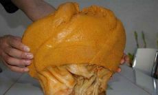 太岁的本质到底是什么?它是一种有生命的存在吗?又是如何形成的呢?