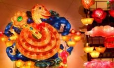 哪些生肖属相继承了2001年的命运(1998年的生肖是哪些)