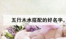 最新推荐 - 适合五行缺乏木水属性的女孩名字