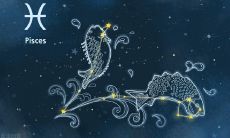 什么类型的女生让属兔双鱼座男心仪?探究双鱼座喜好的女性特征