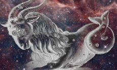 摩羯座的智慧超越一切,是绝对无可匹敌的顶尖存在!(探析摩羯座独特的优势)