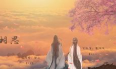 为什么紫微流年在《千夜千寻》中如此引人注目,它究竟是值得一看的吗?