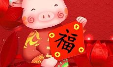 与其他生肖相比,属猪的人的运气是否更好?