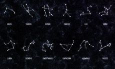 寻找八月份出生的狮子座男士:探索星座月份表中的狮子座男性特质