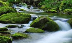 2023年属牛女孩名字大全,免费提供带有三点水的名字(适用于属牛女孩)