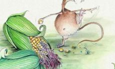 属牛白羊座中,白羊座的智商和情商排名第几?