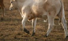 预测:2023年属相最佳的生肖男性会迎来财运亨通!