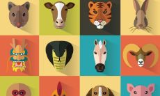 男女属相婚配是否具备准确度?在考虑属相婚配时,该如何评估其可信度?