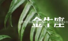 探讨双子座暗恋现象:有多少人会暗恋双子座?双子座暗恋一位特定对象的时间究竟有多长?