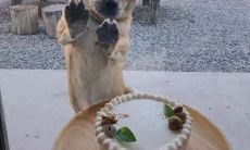 今日偏财最旺的生肖,揭秘生肖本年的运势是否有转机?