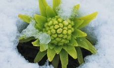 1972年属鼠的人适合从事哪些行业并成为个人事业成功的关键