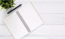 拥有旺姻缘效果,让财富和桃花运相伴的女性网络昵称推荐