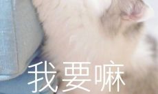 为何水瓶男情愿与双鱼女共度一夜(究竟是双鱼女还是水瓶男更具优势)?