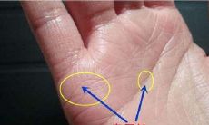 女性如何通过手相看出自己婚姻的幸福指数并避免离婚的可能性?(手相解析女性婚姻命运)