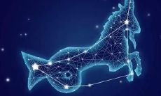 摩羯座被认为是十二星座中智商情商同样高的排名领先者