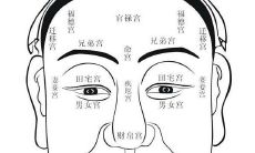 什么是面相中的奴仆宫?如何判断面相中突出的奴仆宫?