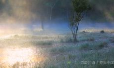 梦中神预言成真:周公解梦梦见自己被水淹死,最终真的被淹没身亡!