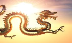 76年出生的属龙人,他们的性格究竟是怎样的?而88年出生的属龙男人,则在性格和爱情方面有哪些特点?