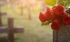 这个题有两部分,我分开改写一下: