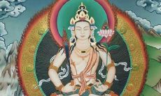 展现财运之象的属牛饰品: 结合属相象征带来的幸运 (包括属牛,甚至其他所有属相)