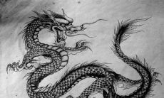 探究88年出生的属龙人在7月份的运势变化(揭秘属龙2021年三月份的运势趋势)