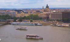 1968年犯太岁的生肖(属猴哪年犯太岁最严重)