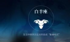 白羊座能跟白羊座在一起么(两只白羊座能在一起吗)
