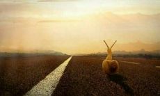 梦到已故的亲人是什么寓意(梦见死去的亲人寓意着什么)