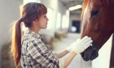 11月摩羯座运势(17年11月摩羯运势)