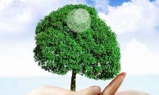 测一测你的前世恋人(最准测两人前世关系)